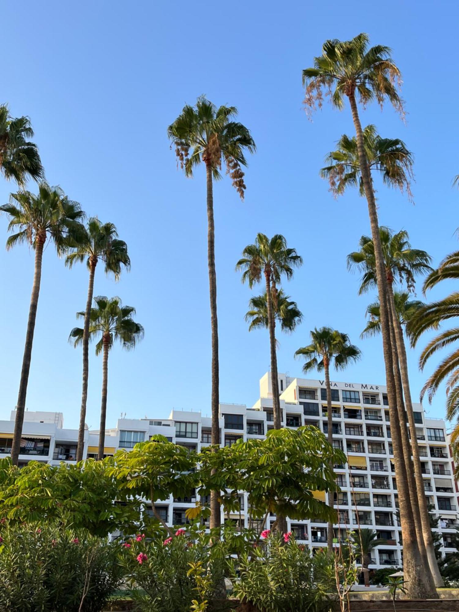 Апартаменты Vina Del Mar Плайя-Фаньябе Экстерьер фото